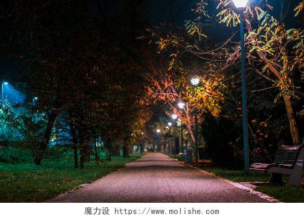 夜晚空旷的公园长椅和路灯一个空荡荡的公园小巷里令人沮丧的场景，一条空荡荡的长椅在夜晚被路灯照亮